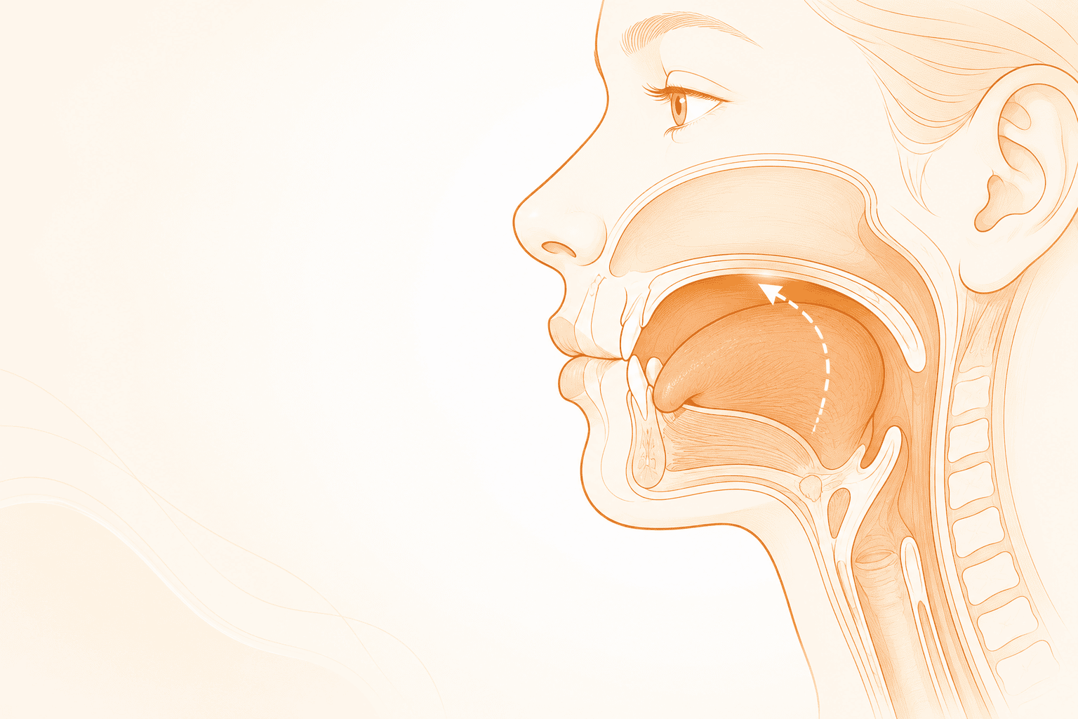 5 Tongue Exercises That Actually Build Rest Posture