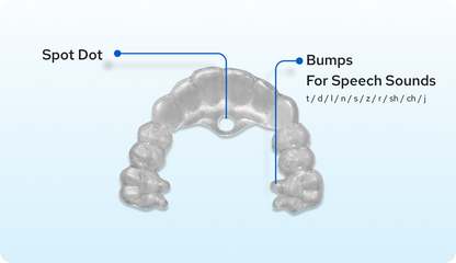 Spot Pal for Speech Tongue Training Appliance